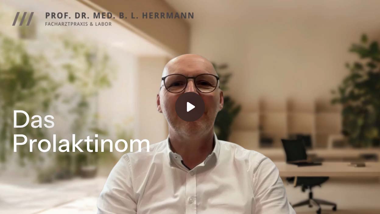 Video von Prof. Dr. med. B. L. Herrmann auf der Info-Videos-Seite der Endokrinologie-Praxis